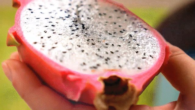Glucotrust Producto